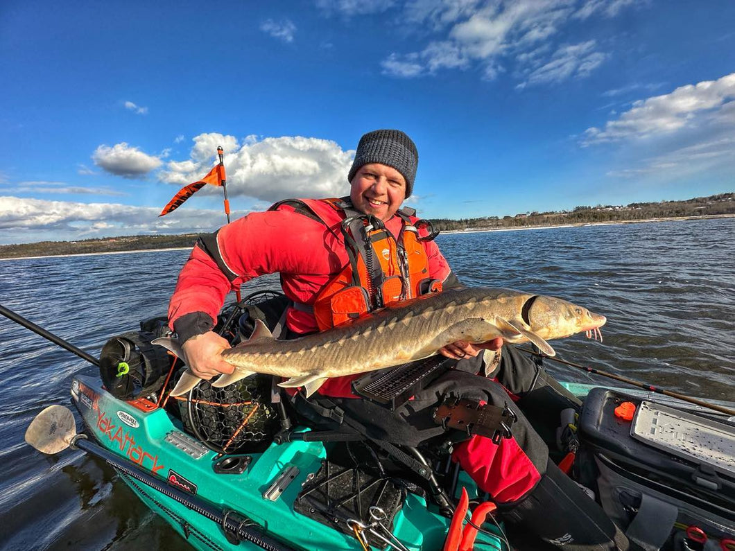 Sturgeon Day fish