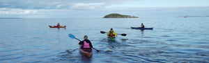 Basic Sea Kayaking - Paddle Canada Level 1